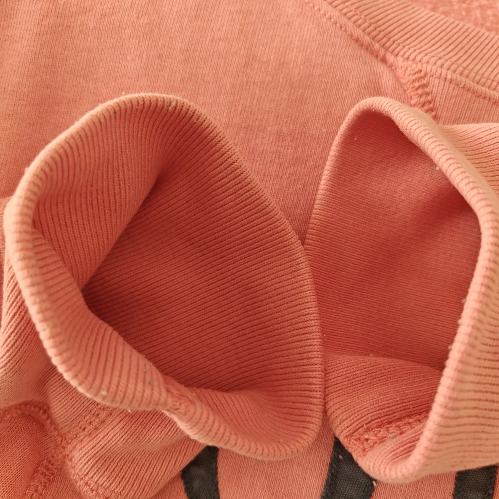 Ralph Lauren Coral Sweatshirt